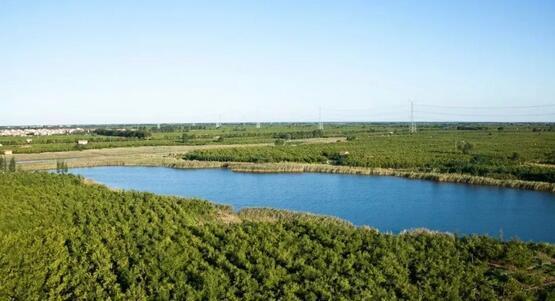 厲害了我的大濱州，15個(gè)招商引資項(xiàng)目集中簽約！